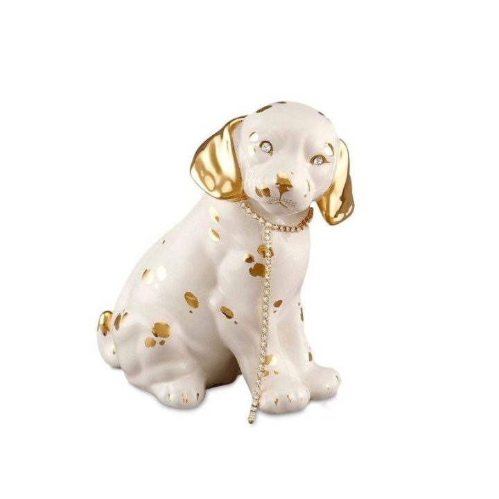 White dalmatian dog